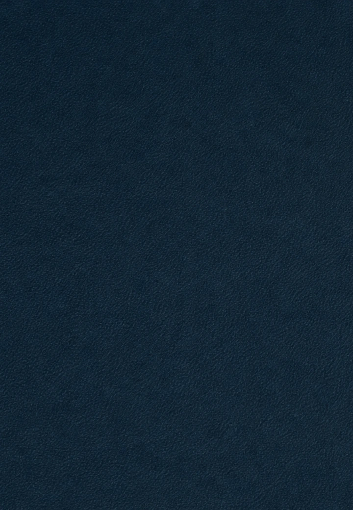 Plain Blue desk leather