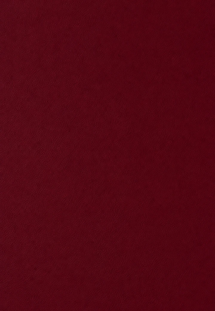 Plain Burgundy desk leather