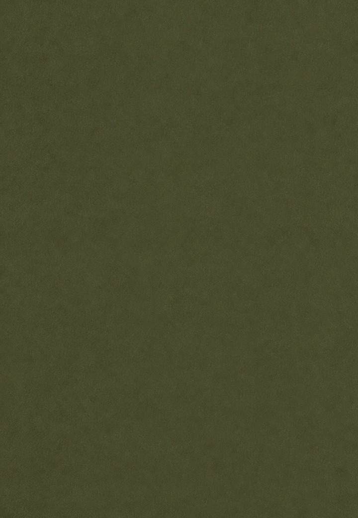 Plain Green desk leather