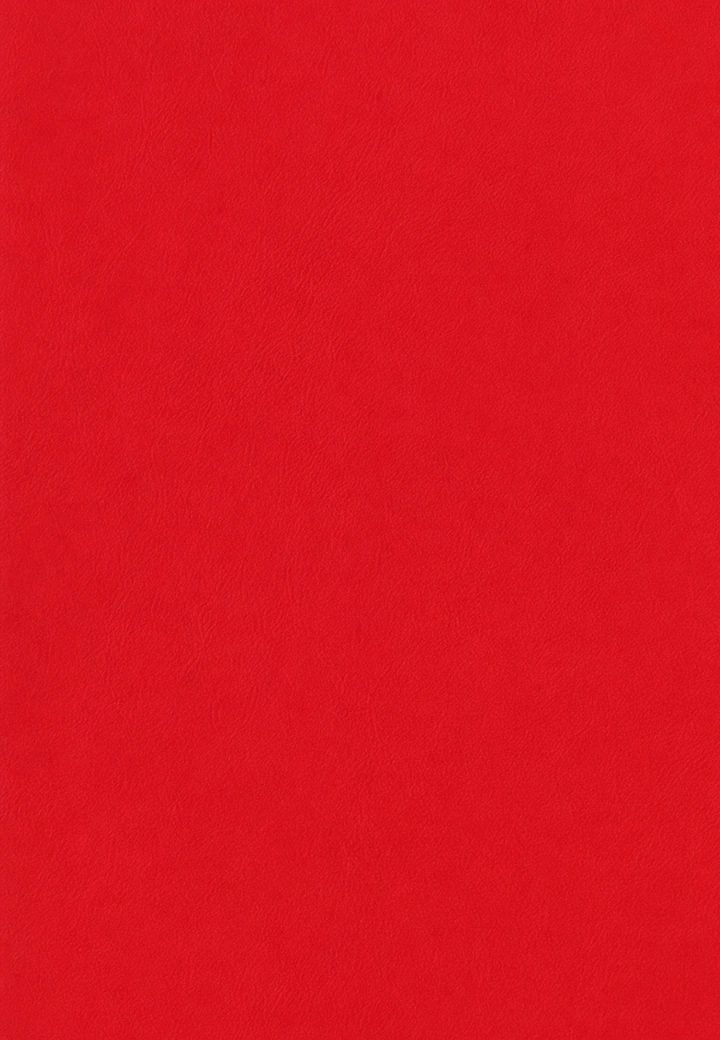Plain Red desk leather