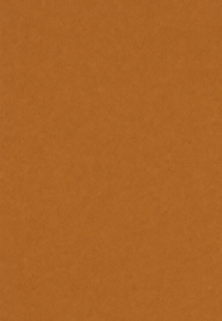 Plain Tan desk leather