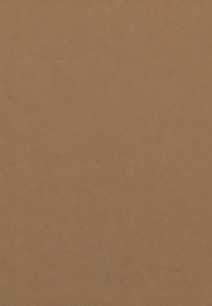 Plain Vanilla desk leather