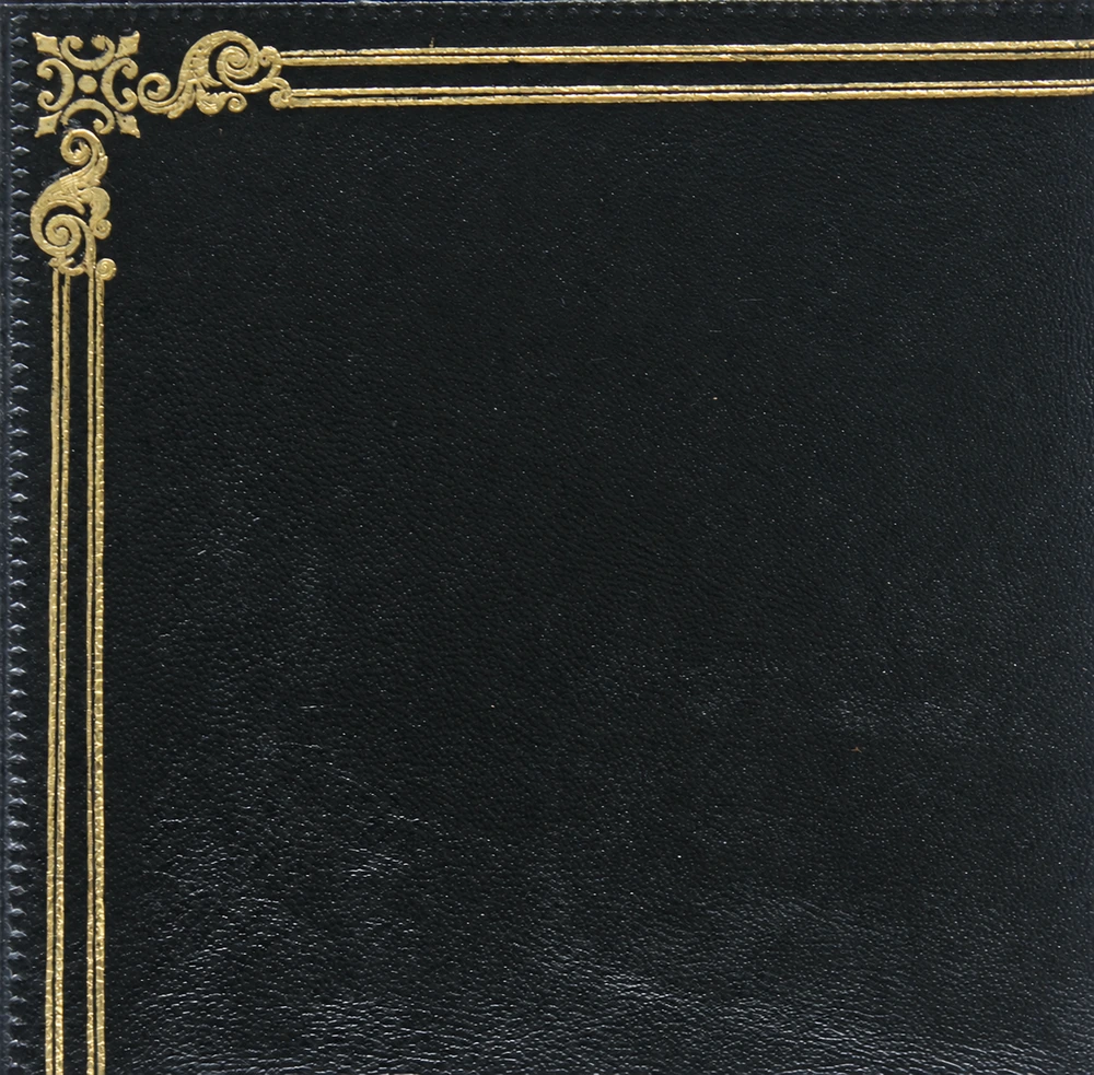 Gold tooling pattern 57 on dark leather, showing the original top-left corner