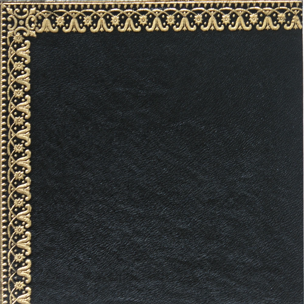 Gold tooling pattern 58 on dark leather, showing the original top-left corner