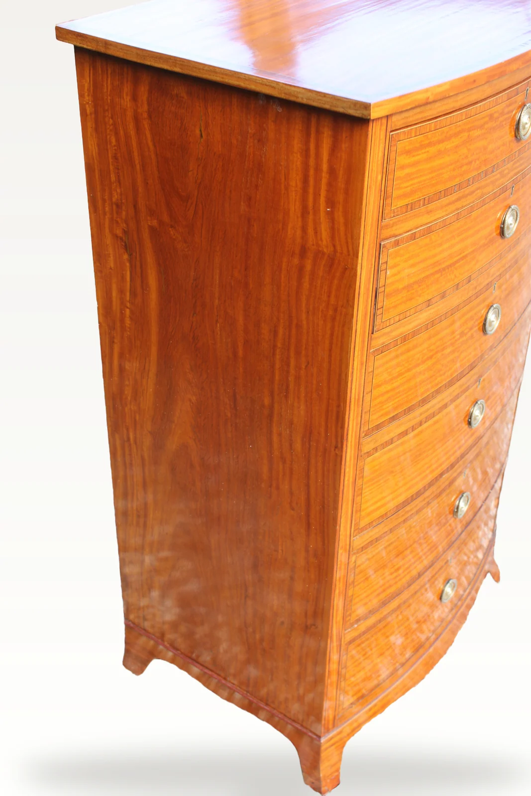Sheraton Revival Satinwood chest — view 6
