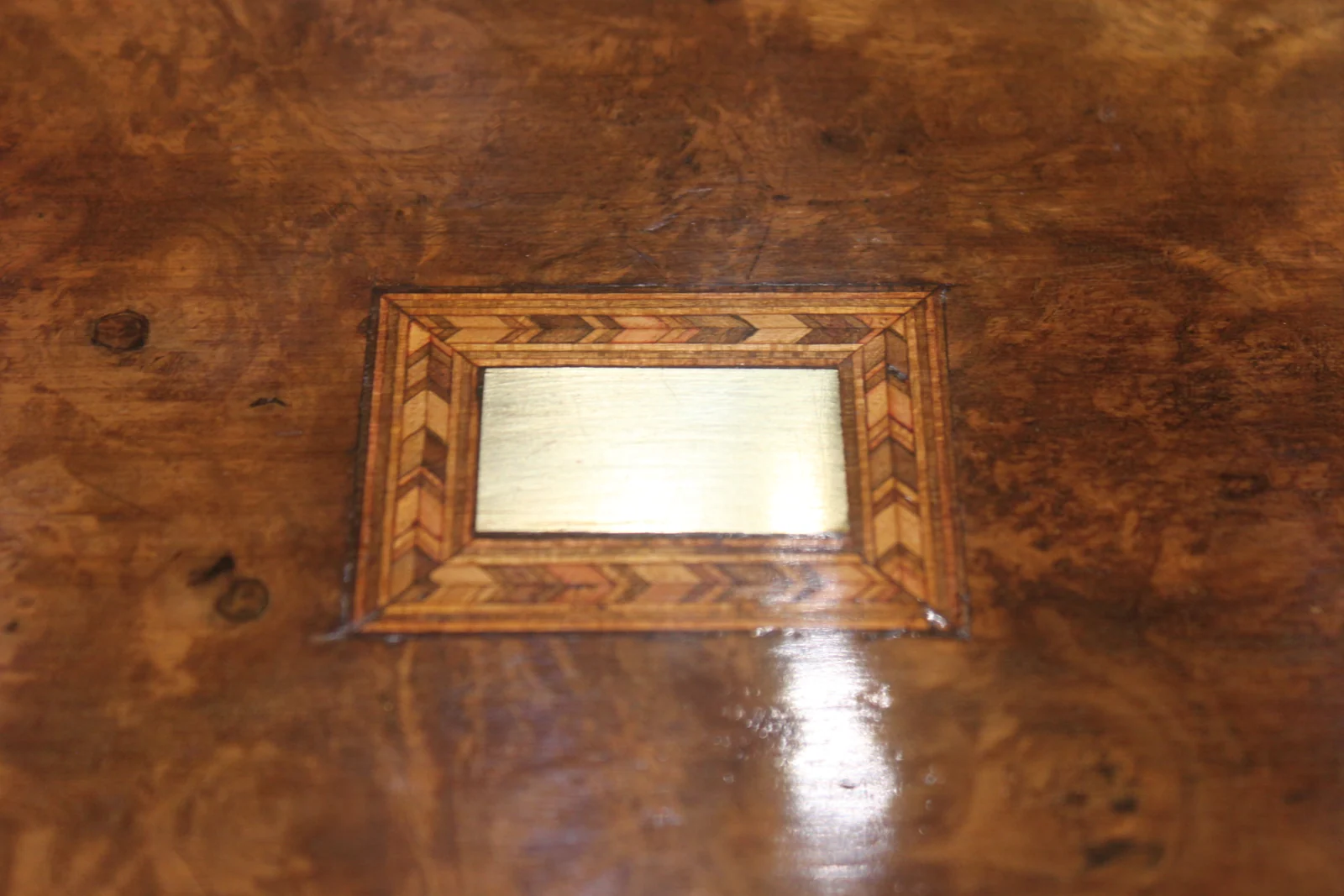 Victorian burr walnut writing slope 4907 — view 7