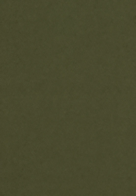 Green desk leather swatch