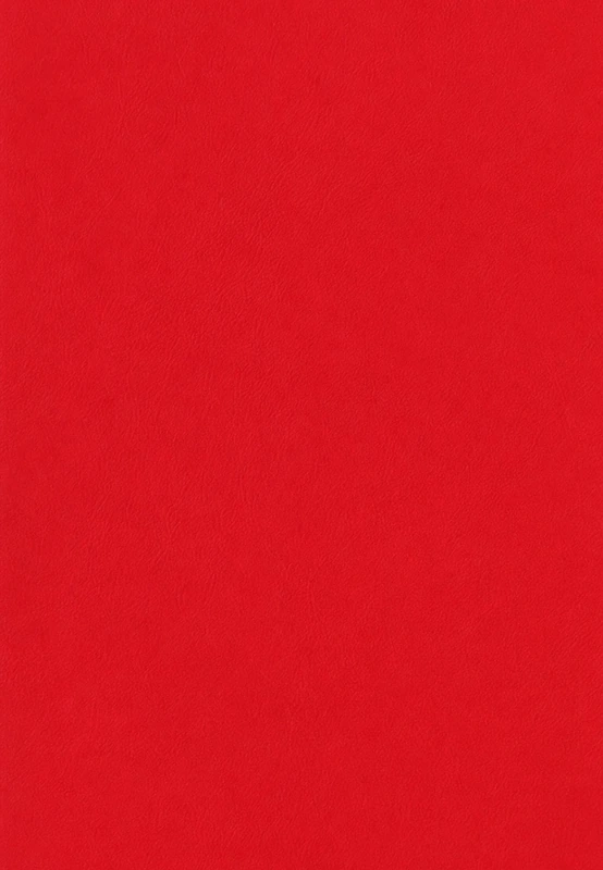 Red desk leather swatch