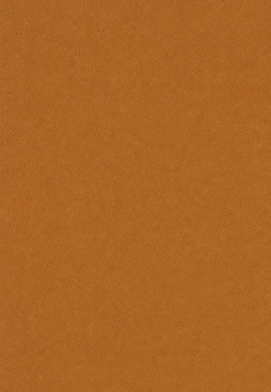 Tan desk leather swatch