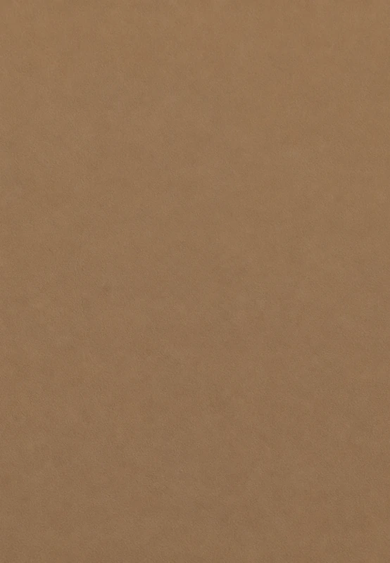 Vanilla desk leather swatch